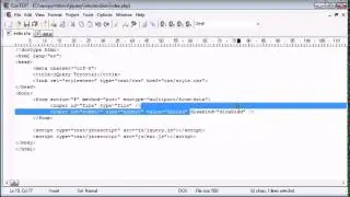jQuery Tutorial   29   Enable submit button after file selected