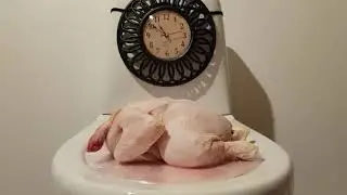 SLAPPING A Chicken For 10 Hours