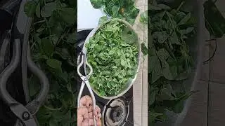 मेथीची भाजी 😋😋