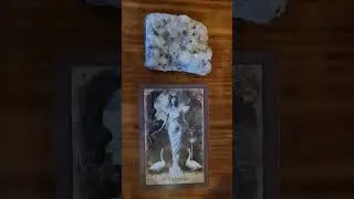card of the day #tarot #fortunecards #fortunetelling #valorofcards #prediction