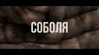 16 февраля 2024 г.
