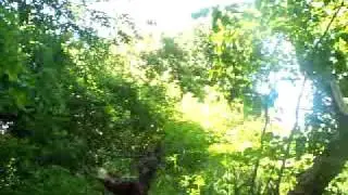 1st Potato Cannon Test Fire