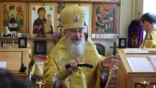 Проповедь епископа Амвросия (Тимрота) на память апостолов Петра и Павла, 12 июля 2024 года