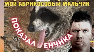 🦝 Глад Валакас Показал Енотика Абрикосика, и как сделал ему Отопление [+ Бонус в конце]