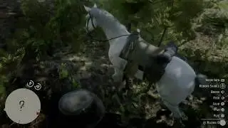 Red Dead Redemption 2 Finding the serial killer(Contains Story Mode Spoilers)