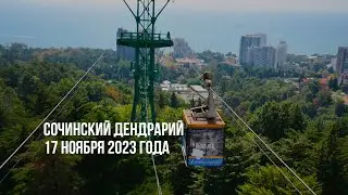 Сочинский дендрарий. 17 ноября 2023 года