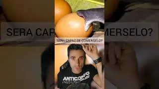 Como las serpientes pueden comer presas tan grandes?.