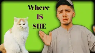 Pr kaha gum hogai yr😓||#trending #viral #mrbeast #vlog