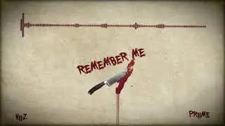 Viiz - Remember Me (ft. PRiiMe) [Offical Audio]