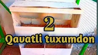 TOVUQ TUXUM QILADIGAN  JOYINI QANDAY TANLAYDI
