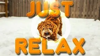 beautiful relaxing sleep music for stress relief calm the mind