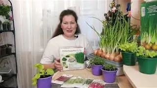 Свежая зелень дома зимой каждый день! Как я выращиваю на подоконнике салат, лук и микрозелень