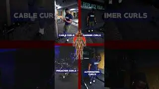 Full Back Workout