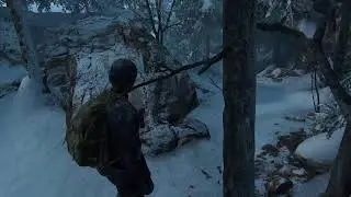 Last of Us 2 Remastered Ps5