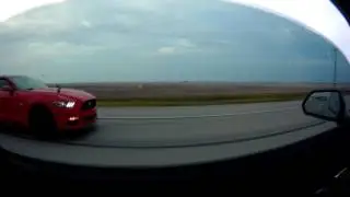 STOCK 2016 Camaro SS vs 2016 Mustang 5.0 PP S550