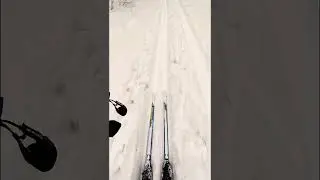 cross-country skiing