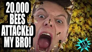 20,000 BEES ATTACKED MY BRO! **PRANK!**