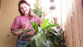 С Днем Рождения Роман В.  Василенко