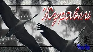 Грустный аниме клип Журавли