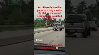 Squatted Trucks Are Awesome!! Said no one, ever...