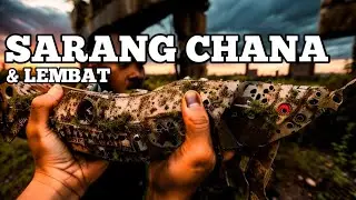 Adventure - Masuk Ke tengah hutan Nemu Sarang Ikan Besar