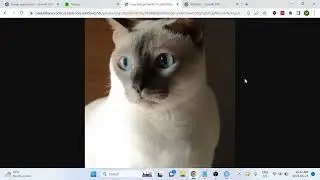How to generate images with OpenAI's DALL-E models using R - reticulate approach