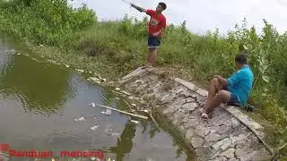 Mancing Ikan Nila #mancingmania #ikannila #fishing