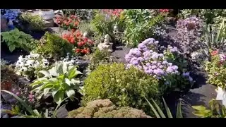 ТАКУЮ КАРТОШКУ я НЕ ВИДЕЛА! РАБОТЫ на ДАЧНОМ УЧАСТКЕ.