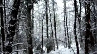 SNOW AND SHIT