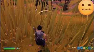 Camperar é  isso?!