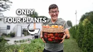 Put Big AG Out of Business With Just 250 Sq. Ft.
