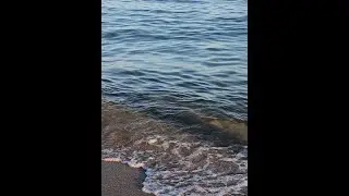 Песчаная балка