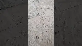 шпатлевка из опилок...