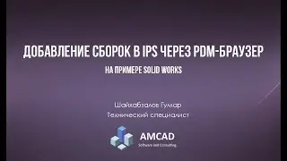 Добавление сборок в IPS через PDM-браузер на примере Solid Works