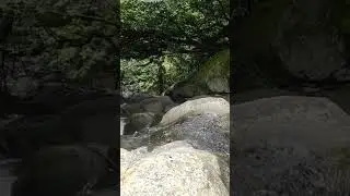 Creek