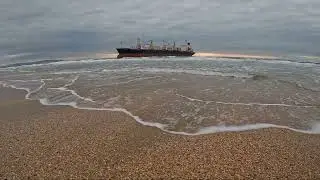 Голубая акула Ъ