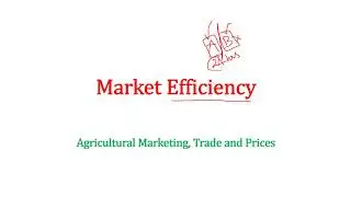 AEC 301 - Market Efficiency estimation - Conventional, Shepherd and Acharya Methods