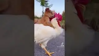 подпишитесь