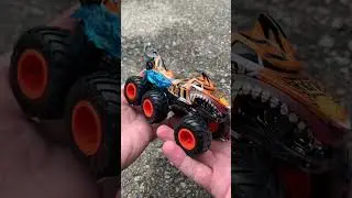 Tiger Shark Big Rig