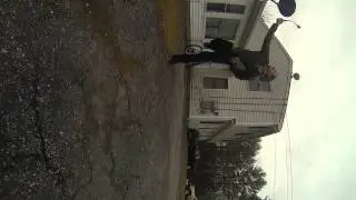 Jordans Dog
