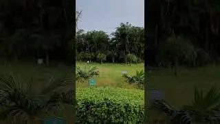 Evening time | Rainy day | Bhubaneswar park