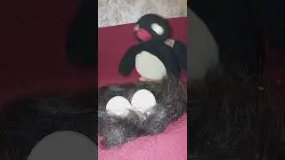 опять снегодождь