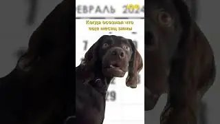 ДЕРЖАТЬСЯ🙏🏻💪🏻😭 #зима #весна #погода #собаки #мем