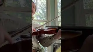 DAY 1 Fiddle. Pretty Saro.