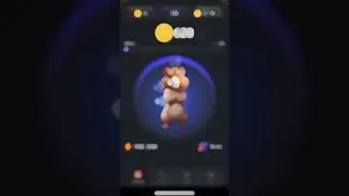 Прокачка хомяка - 1000$