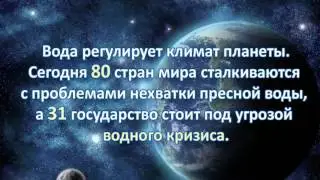 Презентация на тему Вода - это жизнь.