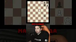 🧩 Найдёте мат в 2 хода за 15 минут?