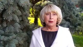 Каникулы