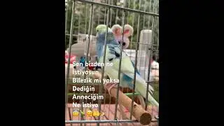 Anneciğim diyen o küçücük dilini severim senin Ne istiyonuz siz benim paşamdan😂😂😂😂