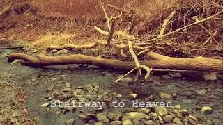 Stairway to Heaven - Lana Del Rey LYRICS & MUSIC VIDEO